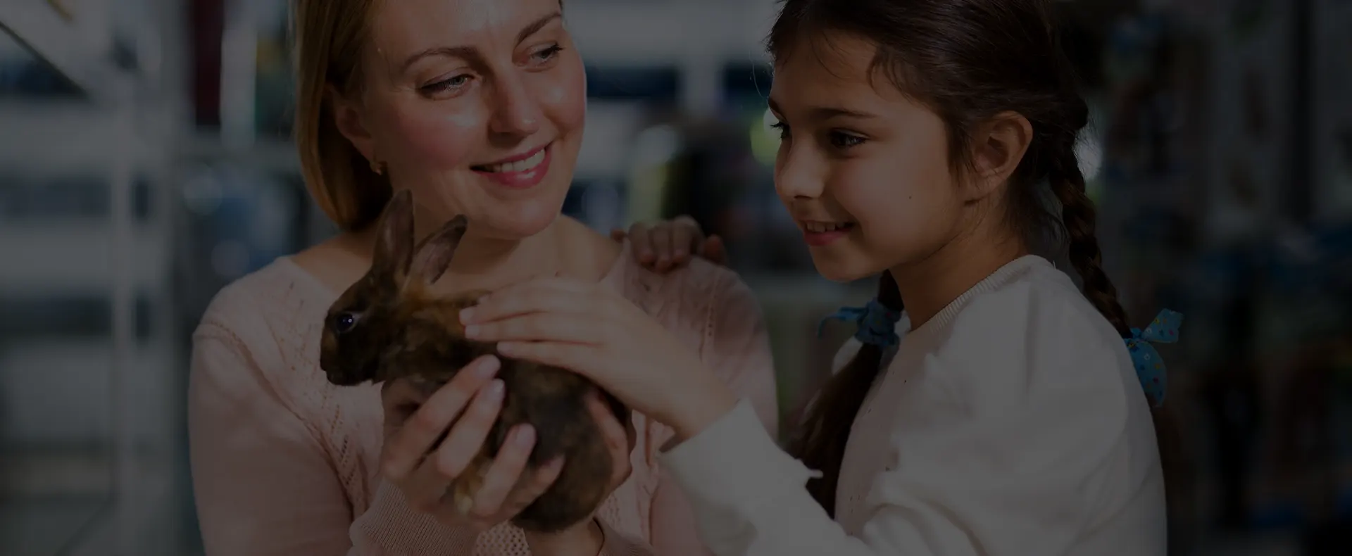 ANIMAUX DE COMPAGNIE A CHACUN SON CHOIX